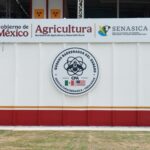 Olores de planta llevan a reubicar a estudiantes
